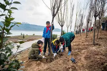 2022植树节公益义务活动方案模板（植树节公益主题策划方案范本）