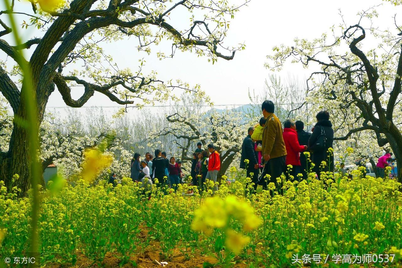 关于展望未来的古诗鉴赏（对未来美好期许的诗句）