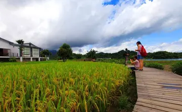 关于田园生活为话题作文5篇（精选优秀作文范例）