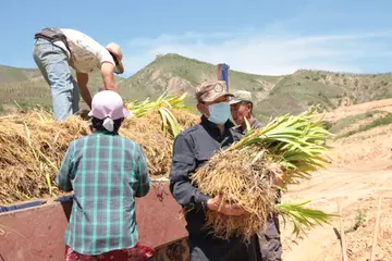 走向我们的小康生活主题优秀作文（努力奔向小康范文）