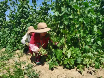 走向我们的小康生活主题优秀作文（努力奔向小康范文）