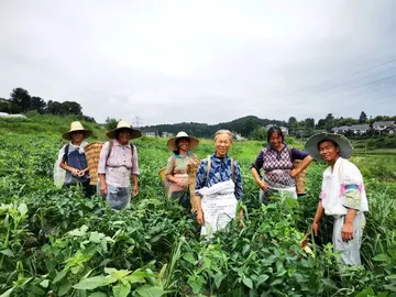 有关我家的小康生活精选范文（初中优秀作文范例）