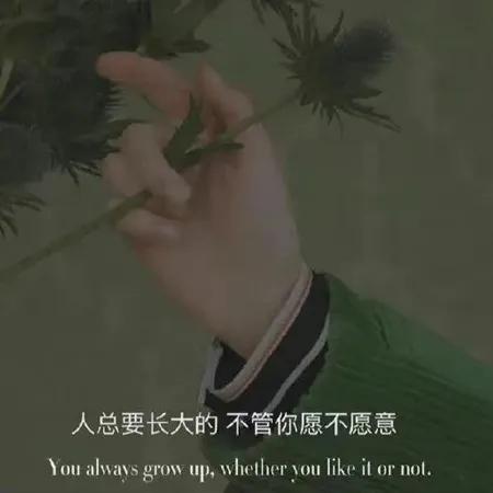 特别现实的扎心文案（关于生活的走心文案）