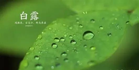 白露节气的祝福文案（关于白露节气的祝福短句）