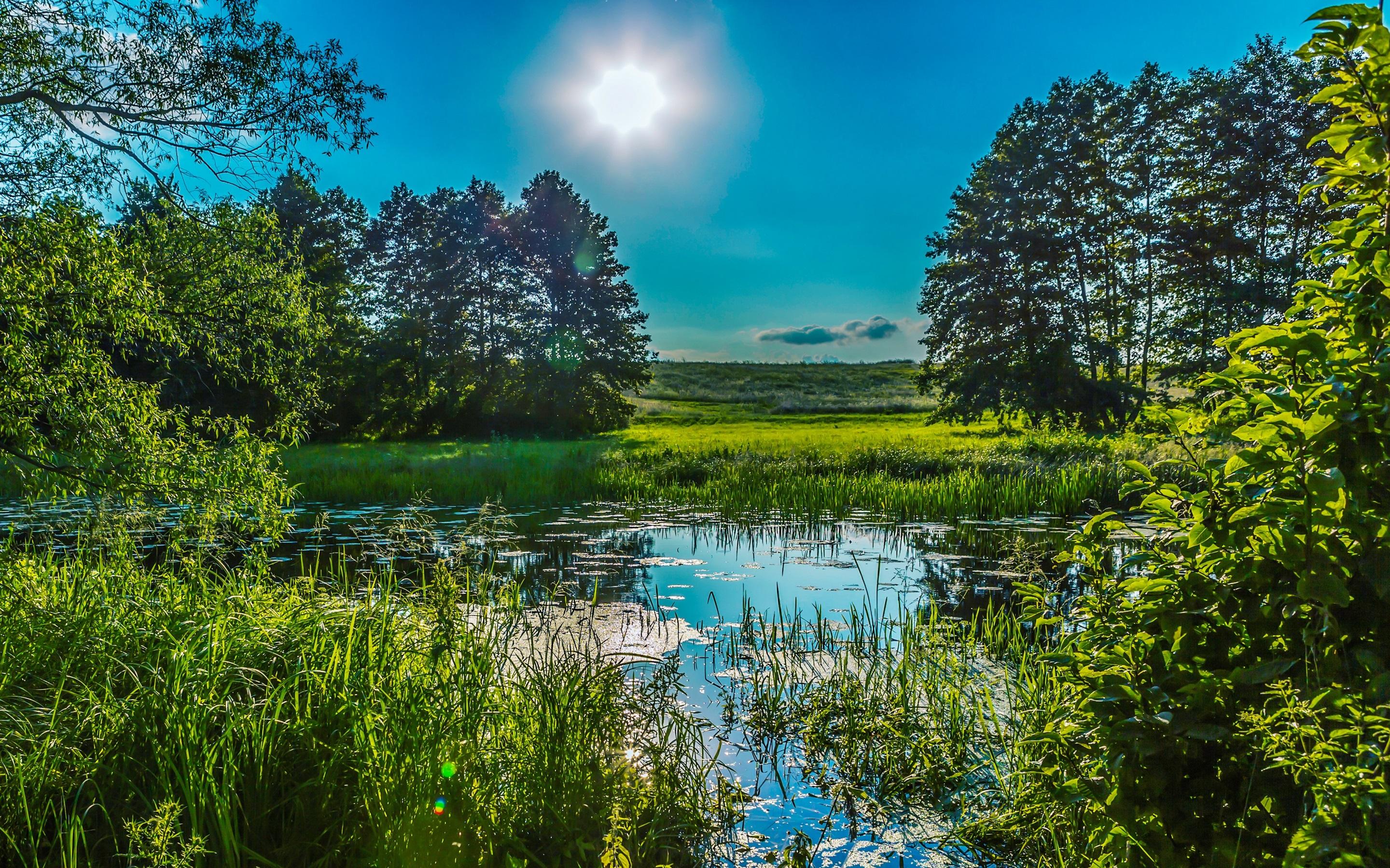 描写夏天的宋代古诗（形容夏天的宋代诗句）