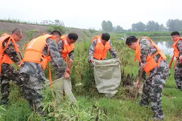 2022防台风安全工作总结范文（防台风安全策划总结范例）