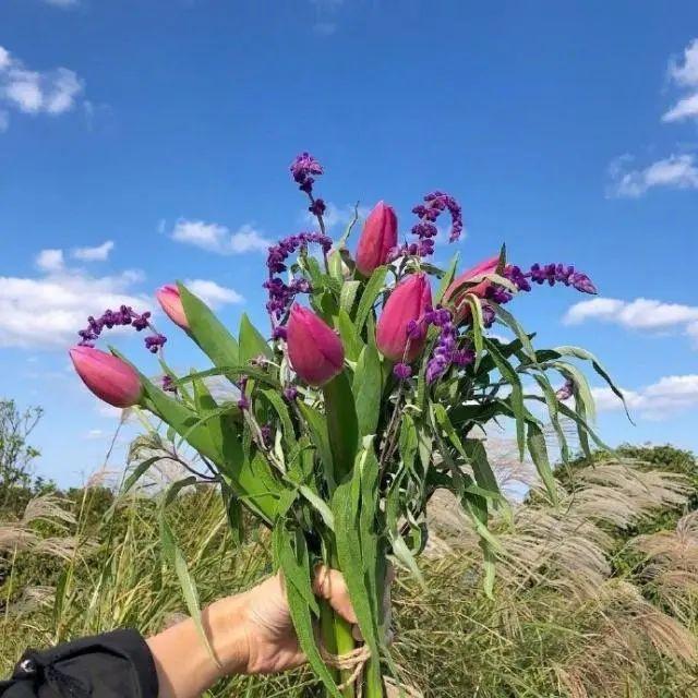 打动人心的晚安句子（有深意的晚安语录）