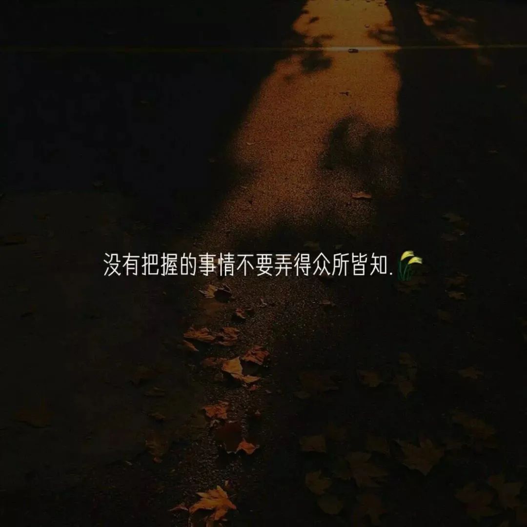 适合置顶的神仙句子（温柔且惊艳的文案短句）