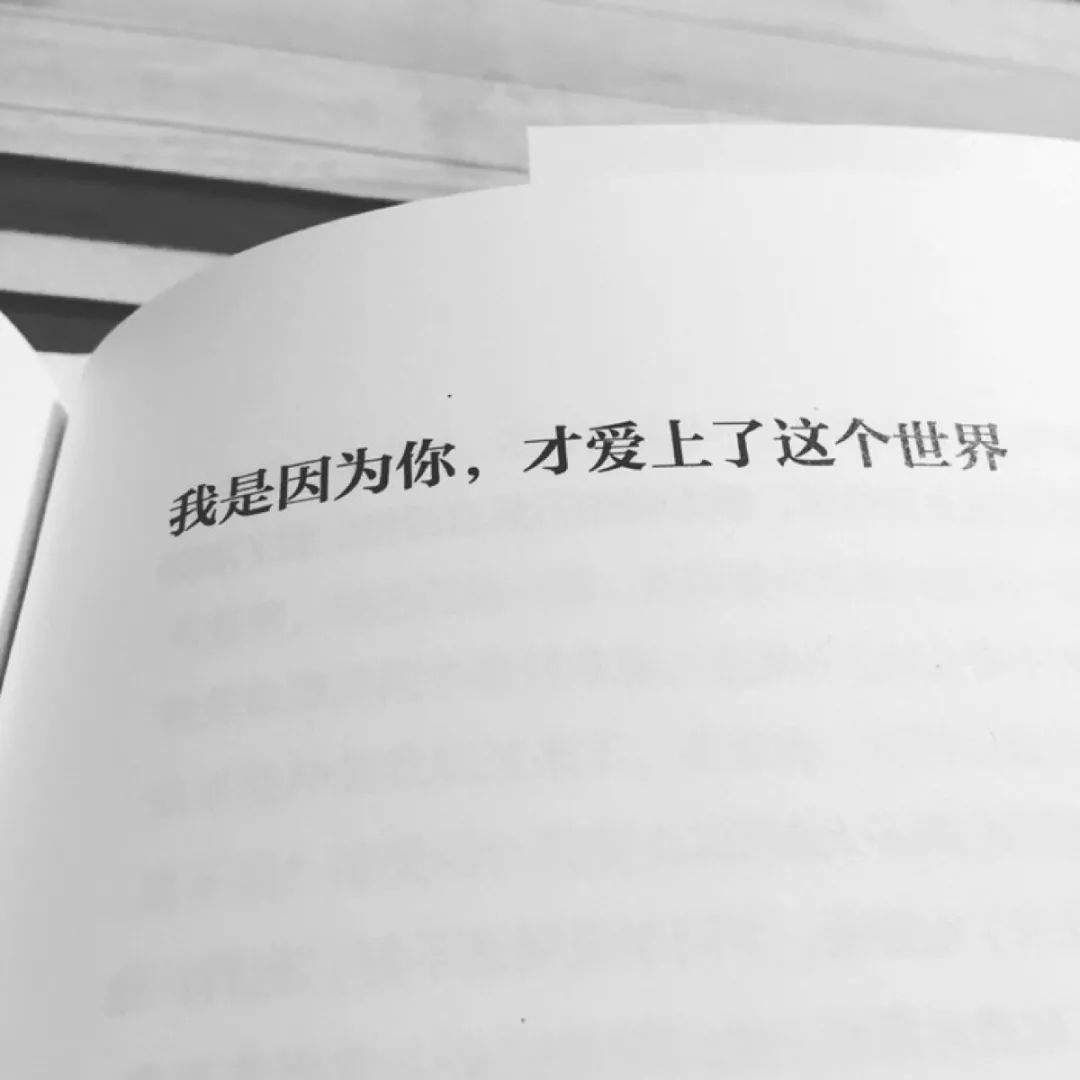 三观很正的爱情文案（关于爱情的唯美句子）