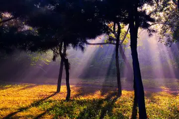 有关珍惜的作文600字（珍惜所拥有的生活精选范例）