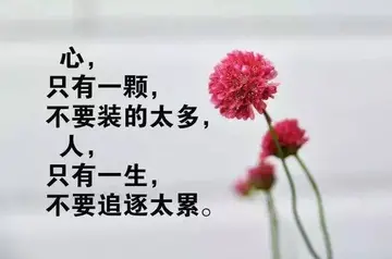 感悟人生的心语大全（分享感悟人生的心里话）