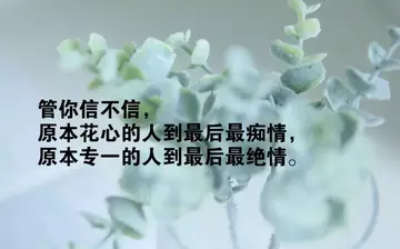 心情文案干净治愈（适合各种心情的短句）