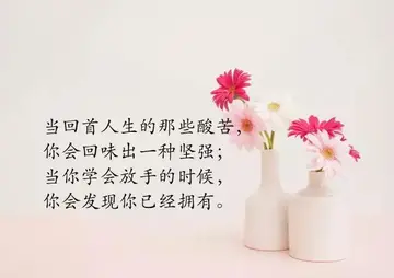 情感温柔的心情文案（极具温柔的心情说说）