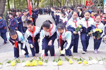 2022清明文明祭扫班会教案范文（清明文明祭祀教育教案范例）