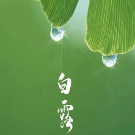 白露节气的祝福文案（有关白露节气的祝福短句）