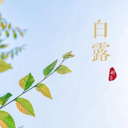 白露节气的祝福文案（有关白露节气的祝福短句）