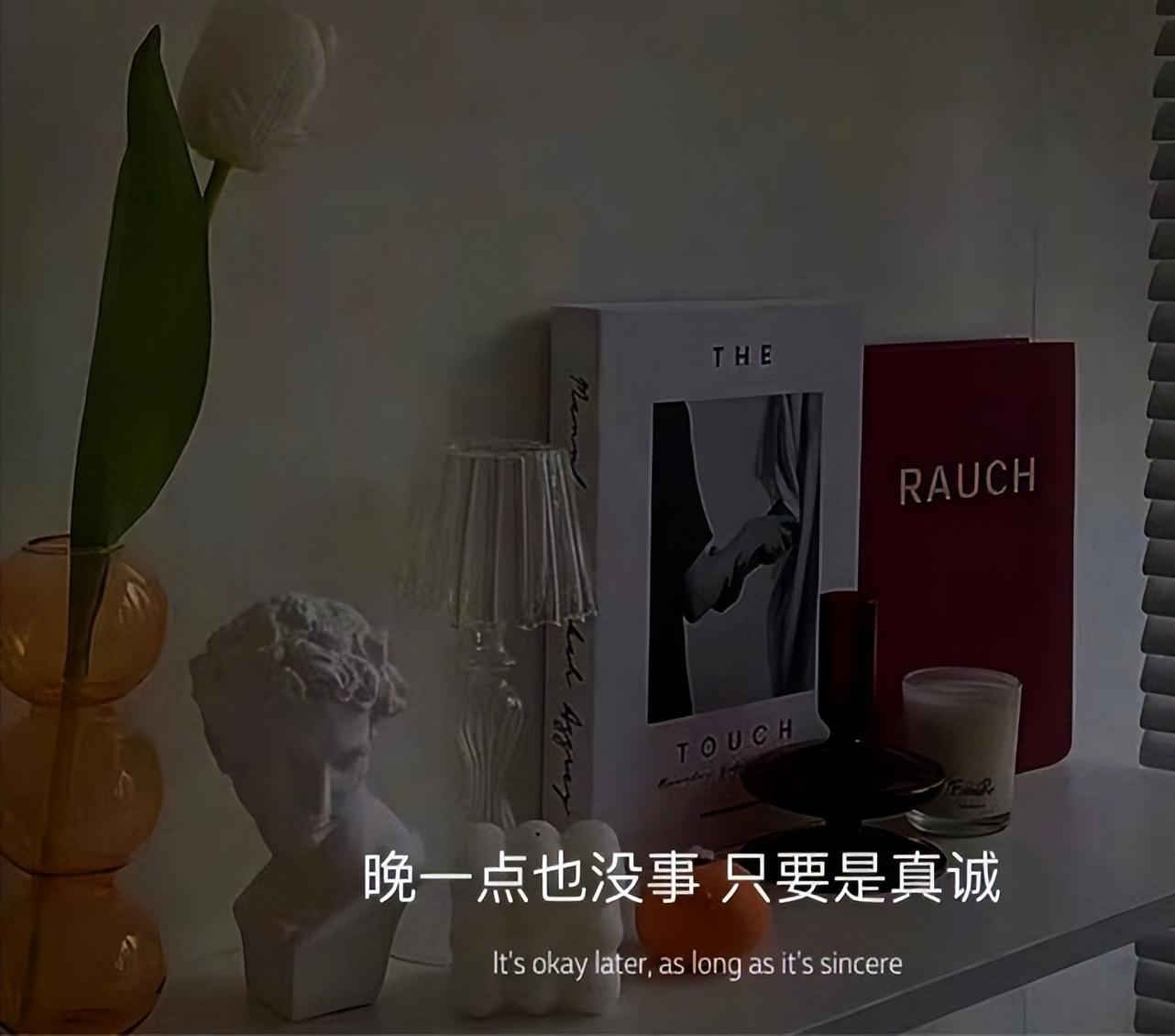 惊艳世人的情绪文案（高质量的情绪短句）