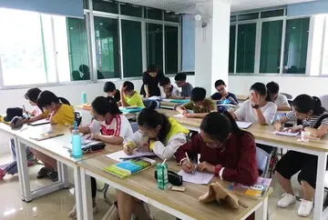 有关学习生活的作文800字（校园学习生活的过程精选范例）