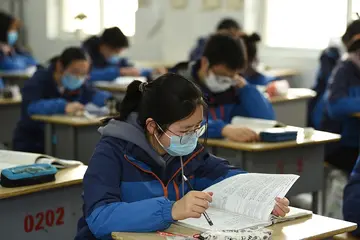 有关学习生活的作文800字（校园学习生活的过程精选范例）