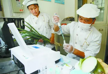 2022学生食品安全教育活动方案模板（校园食品安全解决工作方案范本）