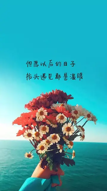 经典伤感文案(高质量的伤感句子)