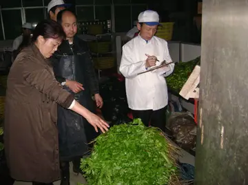 2022食品安全检查工作方案范本（食品安全专项整治方案模板）