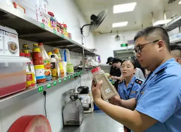 2022食品安全心得体会范本（食品安全心得感悟范例）