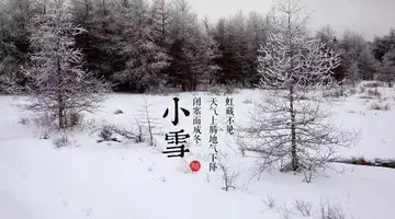 小雪节气祝福语简短（小雪节气问候说说心情）