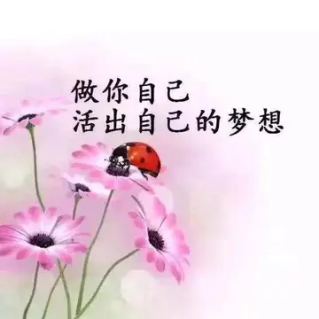 对生活充满正能量的句子（充满正能量的心态好的励志语录）