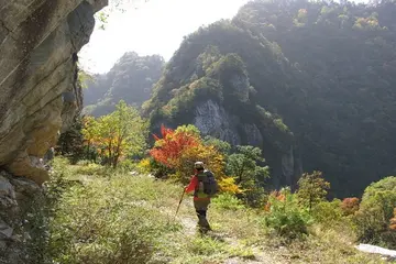 我是生活中的霸主作文精选（关于强者的作文范例）