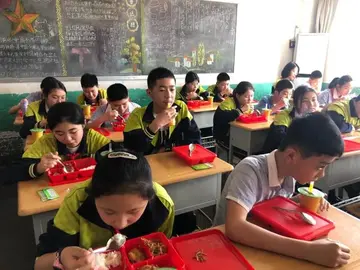 2022小学食品安全活动总结范文（小学食品安全宣传总结范例）