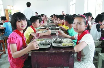 2022小学生食品安全教育总结范文（小学生食品安全实施总结范例）