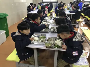 2022小学生食品安全教育总结范文（小学生食品安全实施总结范例）