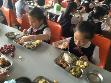 2022小学生食品安全教育总结范文（小学生食品安全实施总结范例）