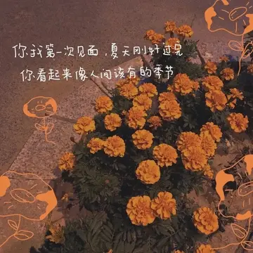 温柔到爆的神仙句子（惊艳世俗的神仙文案）