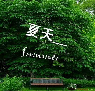 适合发圈的夏天短句（关于夏日的唯美短句）