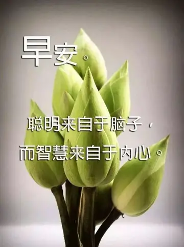 激励人心的早安句子（正能量的早安短句）