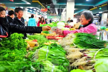 2022食品安全宣传周活动总结范文（食品安全周科普工作总结范例）