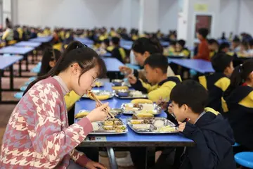 2022学校食品安全宣传周工作总结范文（院校食品安全宣传周教育总结范例）