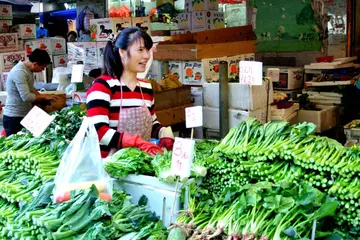 2022食品安全宣传总结范文（食品安全科普总结范例）