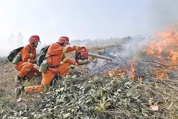 2022森林防火安全活动教案范文（森林火灾教育主题教案范例）