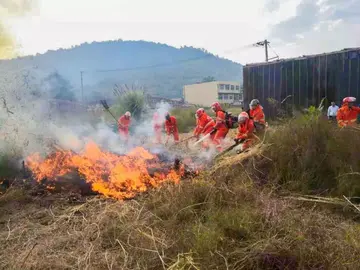 2022森林防火专项整治心得感想范文（森林火灾防治工作心得感受范例）