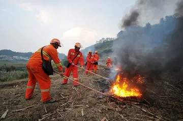 2022森林防火工作总结范文（森林防火教育总结范例）