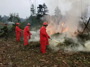 2022森林防火工作总结范文（森林防火教育总结范例）