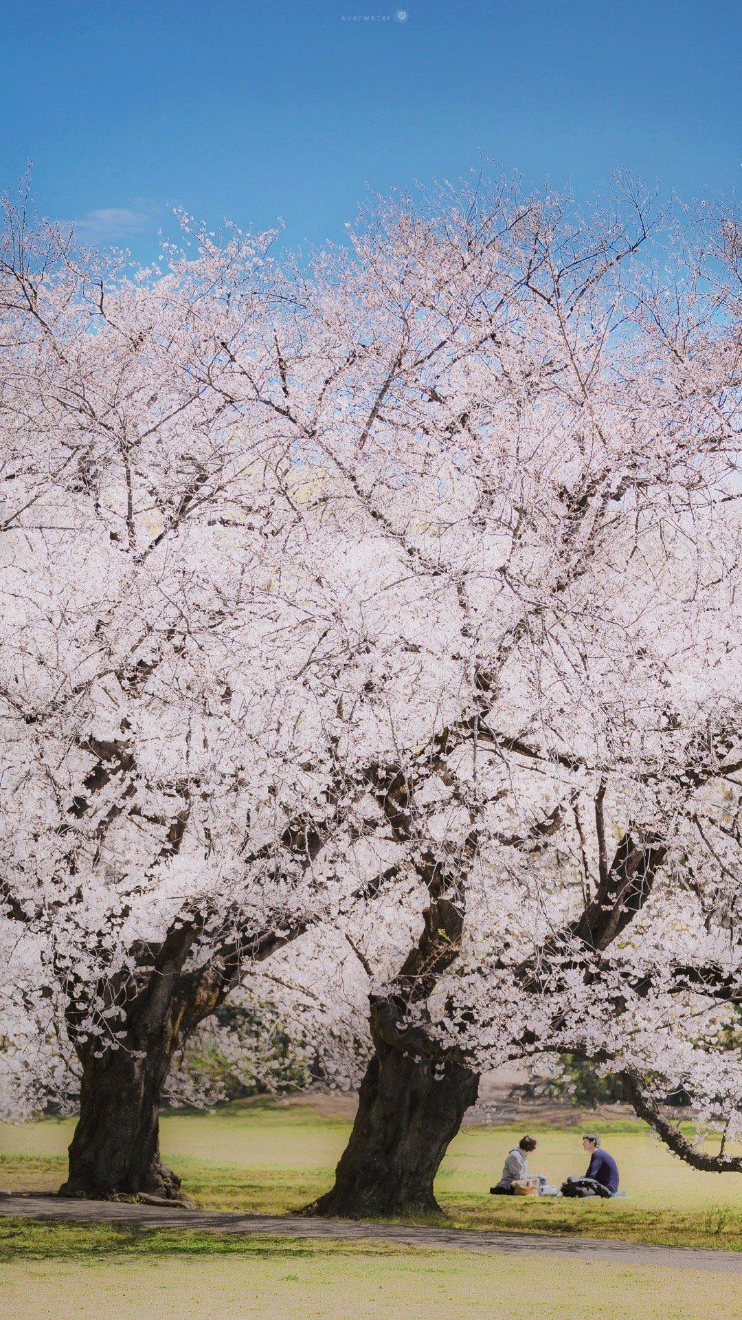 让人释怀的人生感悟句子（关于释怀的文案短句）