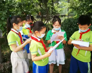 我快乐的小学生活作文精选（关于快乐小学的作文范例）