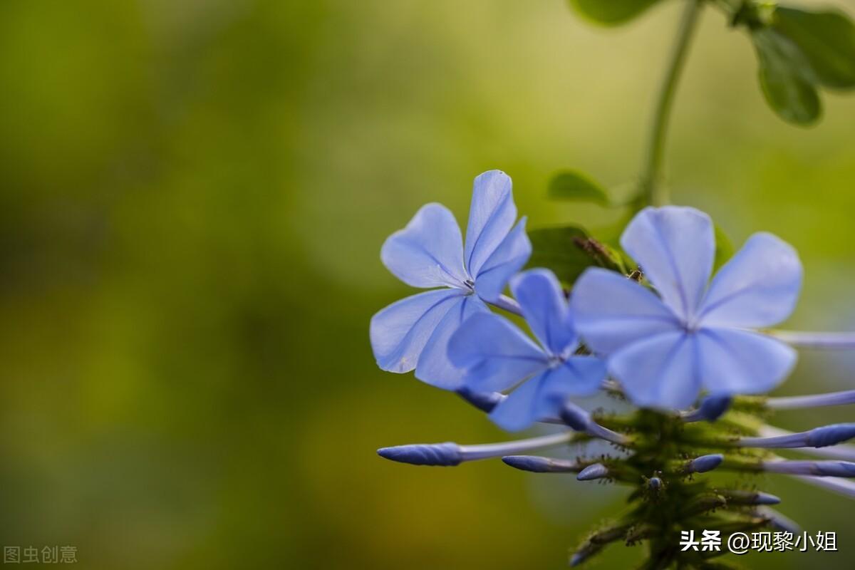 人间清醒的短句（瞬间清醒的文案句子）