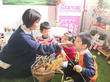 2022节粮光盘主题教案范本（节约粮食宣传教案模板）