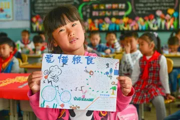 2022节粮光盘主题教案范本（节约粮食宣传教案模板）