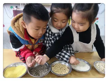 2022节约粮食活动总结范文（节约粮食策划总结范例）